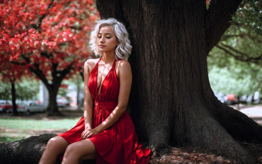 1754932 (a): :2555x1600